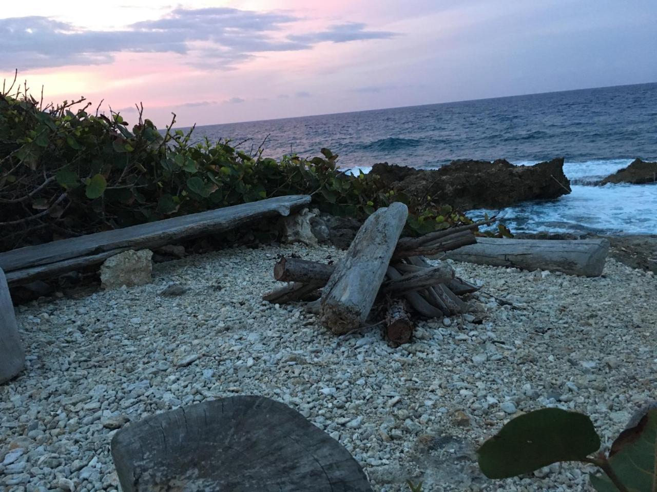 Forever Cottage Robins Bay エクステリア 写真